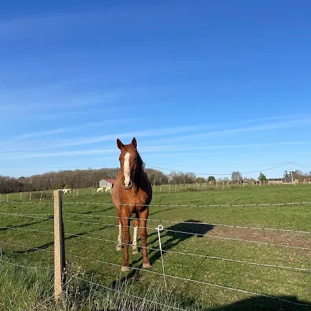 Maison En Normandie - 1h15 De Paris - 8 Personnes Holiday home Acon