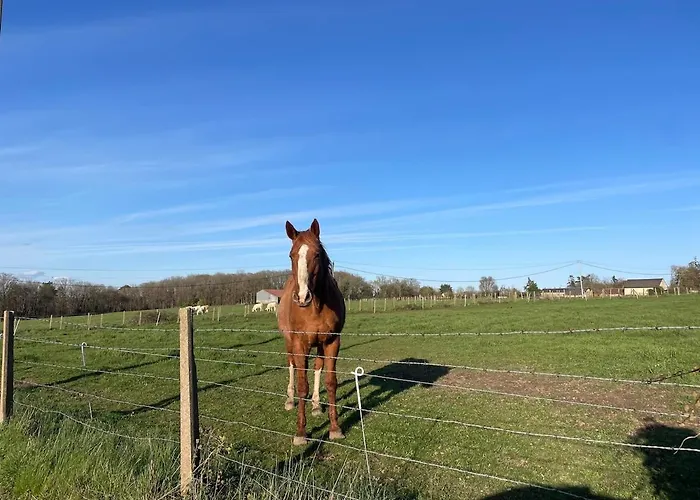 Maison En Normandie - 1h15 De Paris - 8 Personnes Holiday home Acon